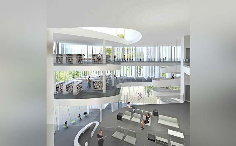 JP Lott Studium perspectives bibliothèque