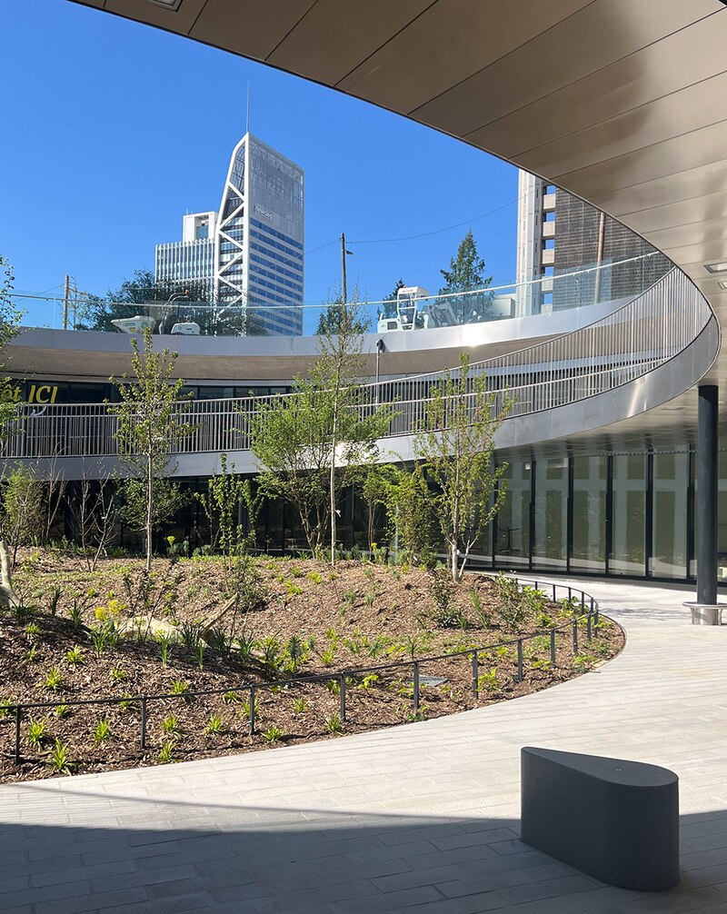 Le nouveau parvis de la gare Lyon Part-Dieu - Le patio boisé
