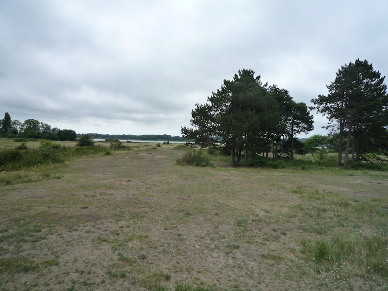 Dune fossile