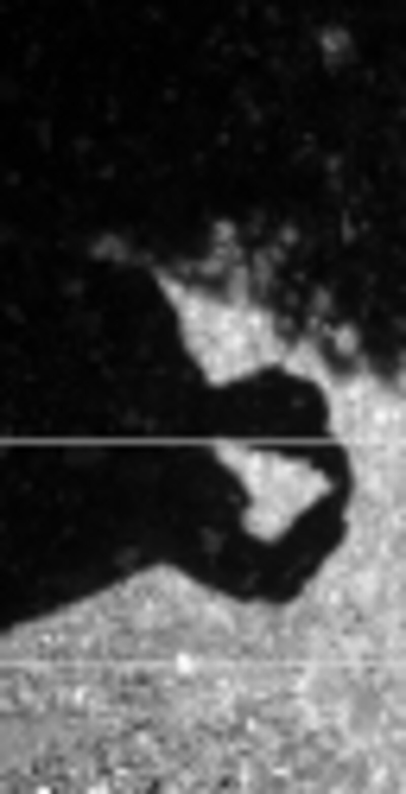 Image d'illustration de l'article