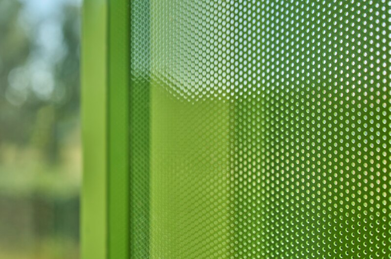 Ehret perforations 2