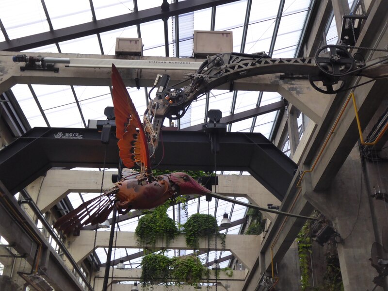 oiseau arbre hérons