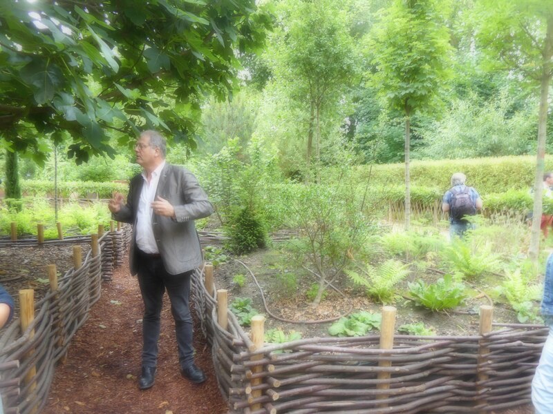 Des arbres et des hommes