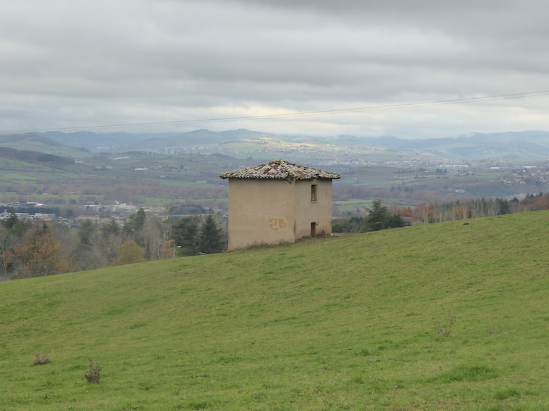 ouest lyonnais