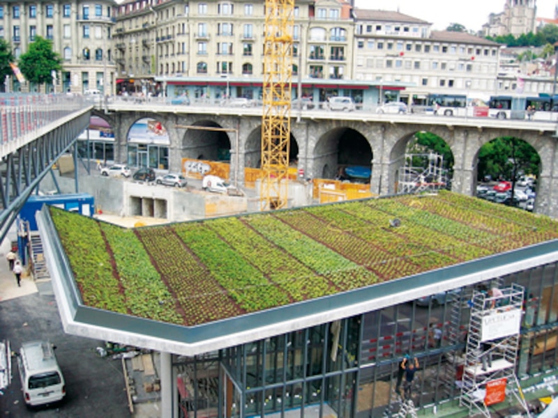 Image d'illustration de l'article