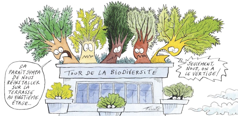 Image d'illustration de l'article