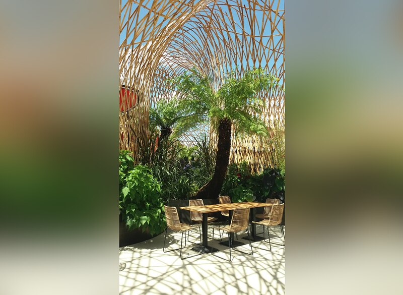 La plus haute structure en bambou d’Eroupe au parc Terra botanica à Anagers (Maine-et-Loire)