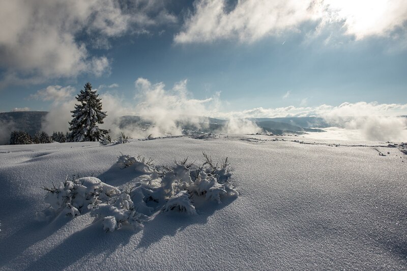 Haut du Tot (Vosges)