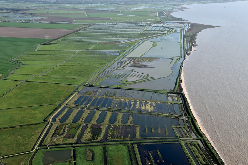 Marais de Brouage (Charente-Maritime) 