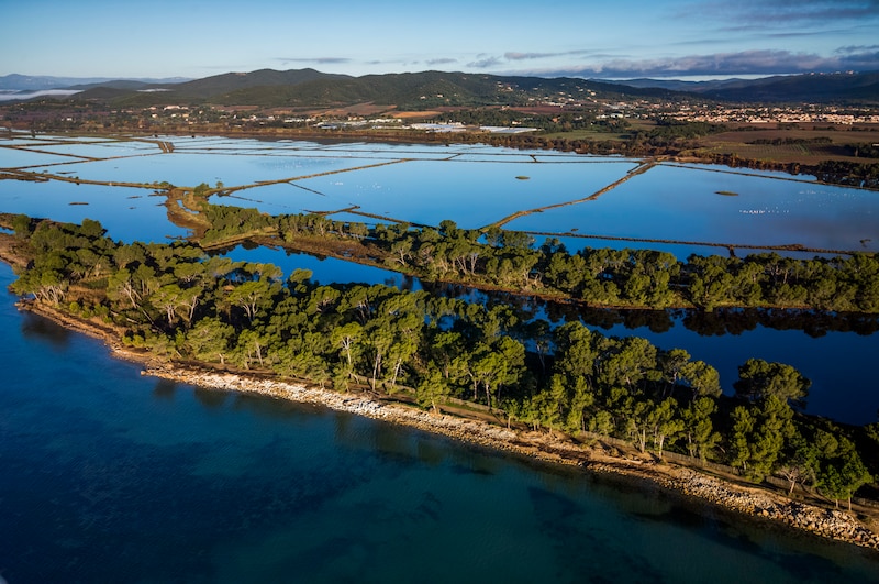 Vieux Salins d’Hyères (Var)