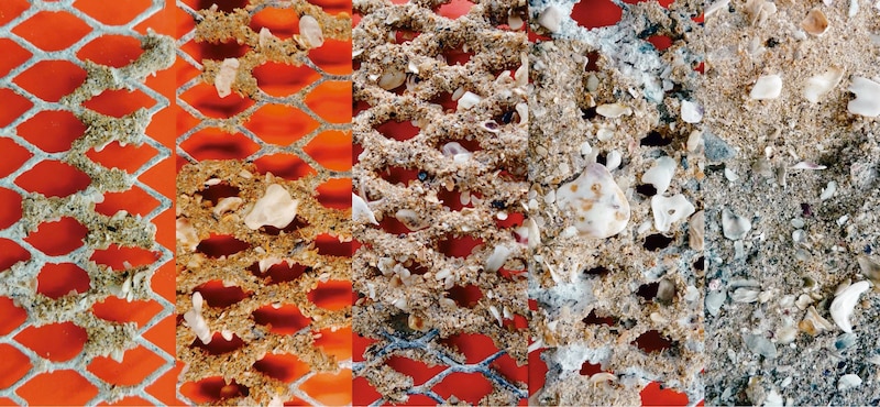 Image d'illustration de l'article