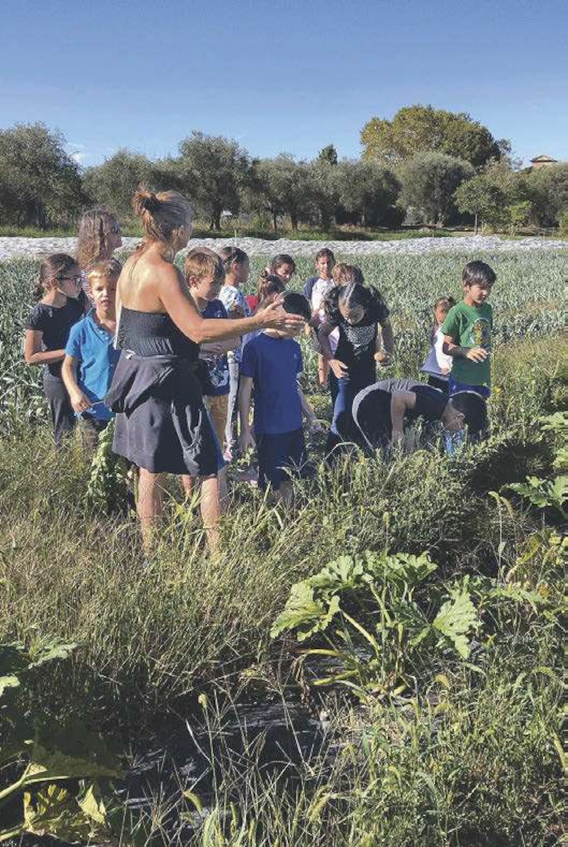 Image d'illustration de l'article