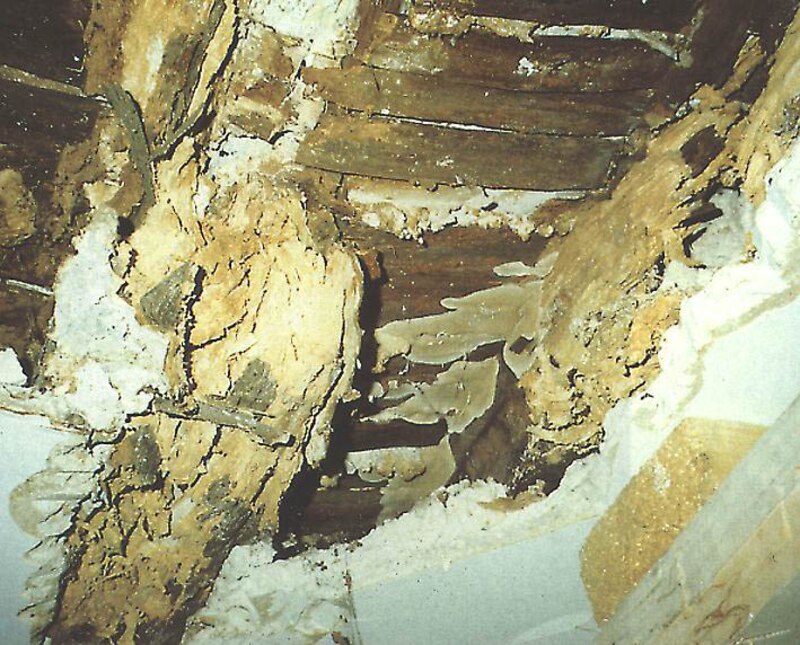 Image d'illustration de l'article