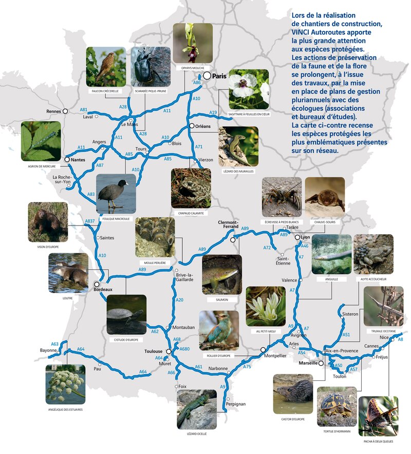 Image d'illustration de l'article