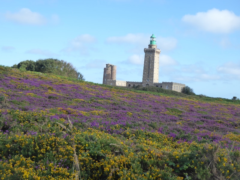 Cap Fréhel
