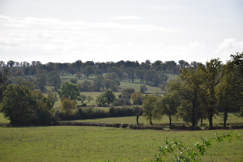 bocage bourbonnais