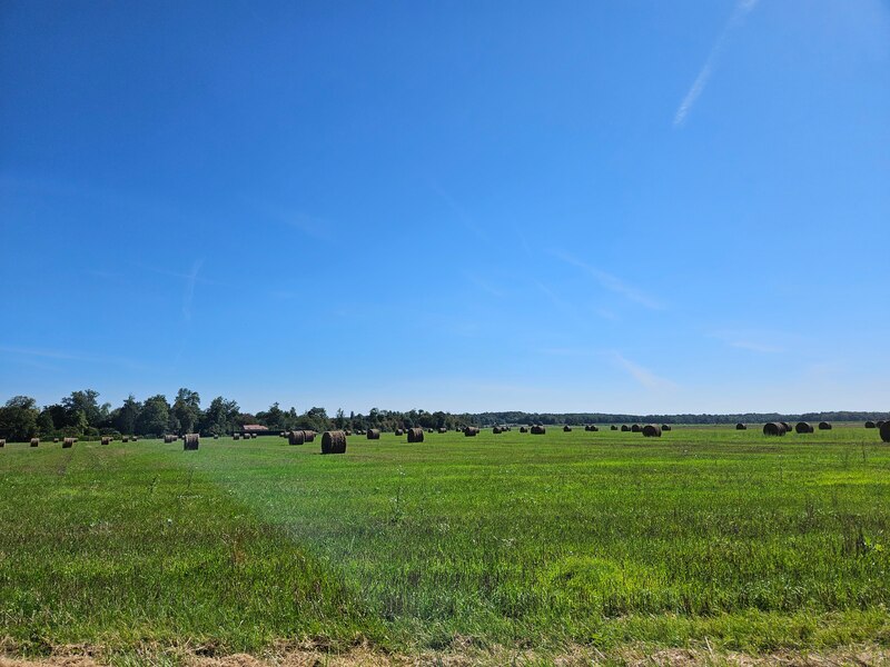Paysage sur la route