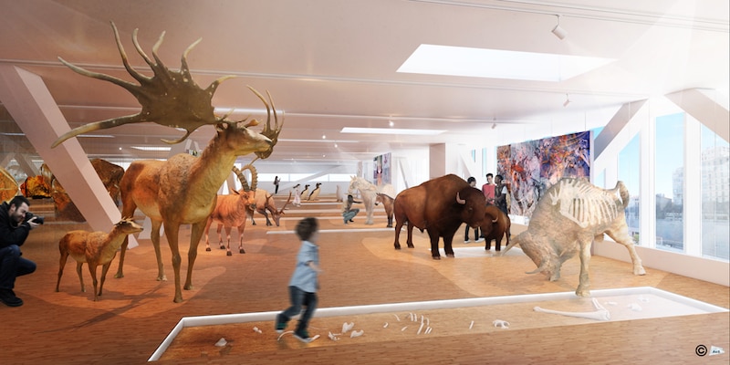 Projet de fac-similé de la grotte Cosquer pour la Villa Méditerranée à Marseille