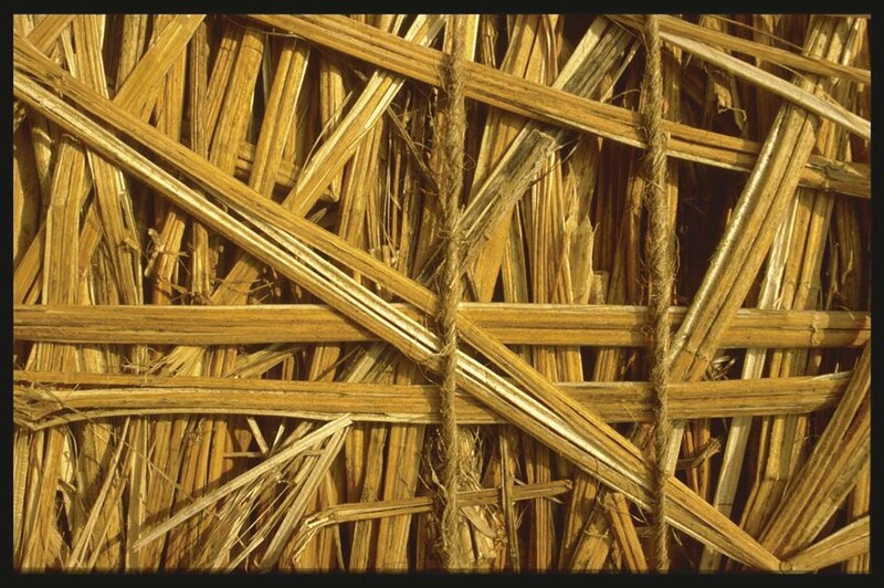 Image d'illustration de l'article
