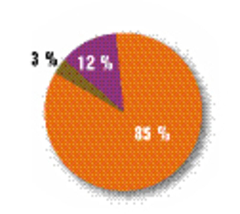 Image d'illustration de l'article