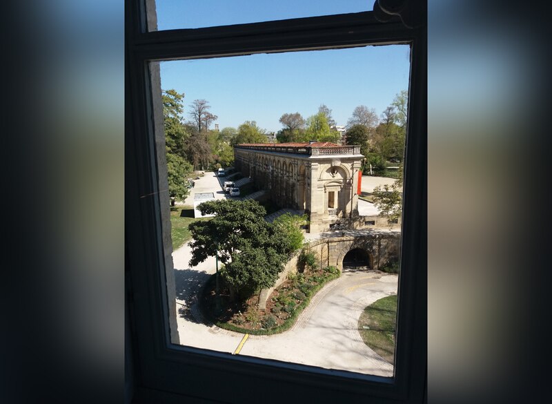 Le muséum de Bordeaux rouvre : les serres