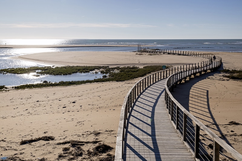 Prix de la Construction Bois des Pays de la Loire 2020 : lauréat « Aménagement extérieur »