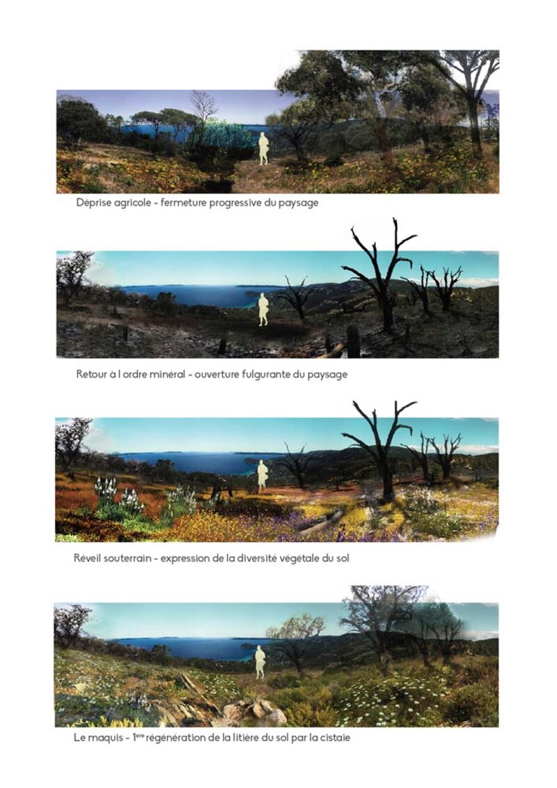Image d'illustration de l'article