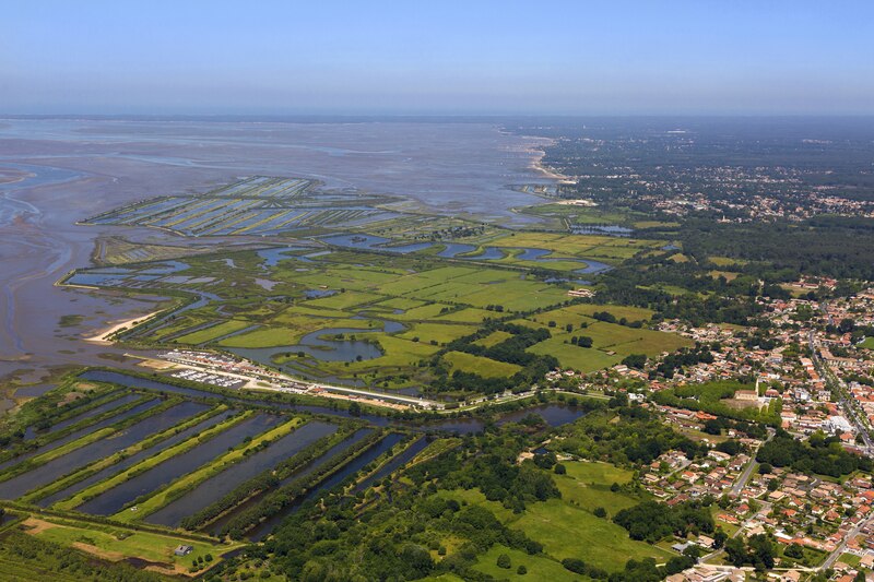 Delta de la Leyre (Landes)