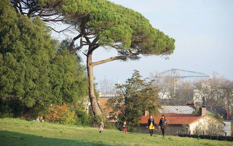Image d'illustration de l'article