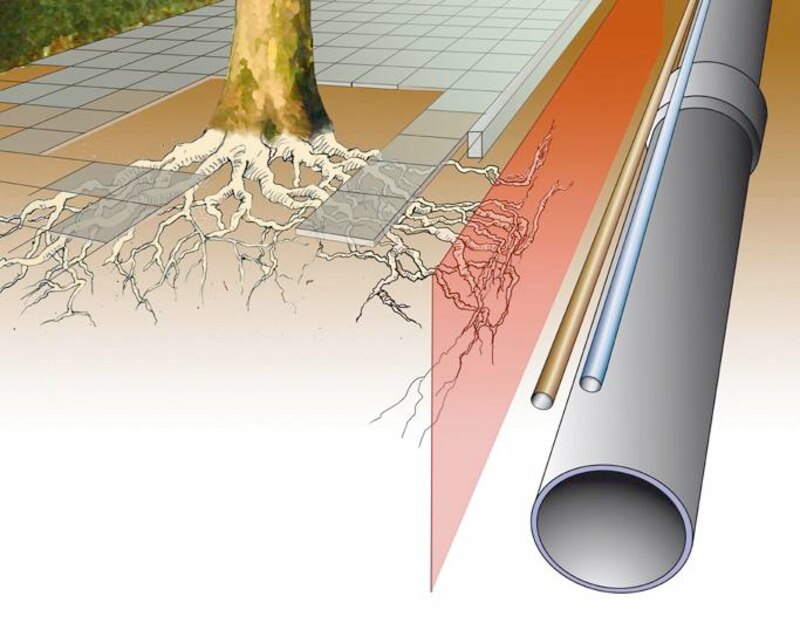 Image d'illustration de l'article