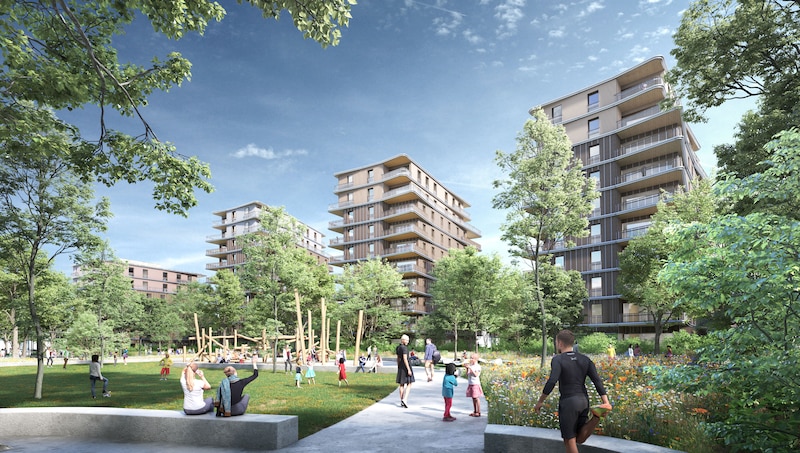 Archipel 3 F végétation