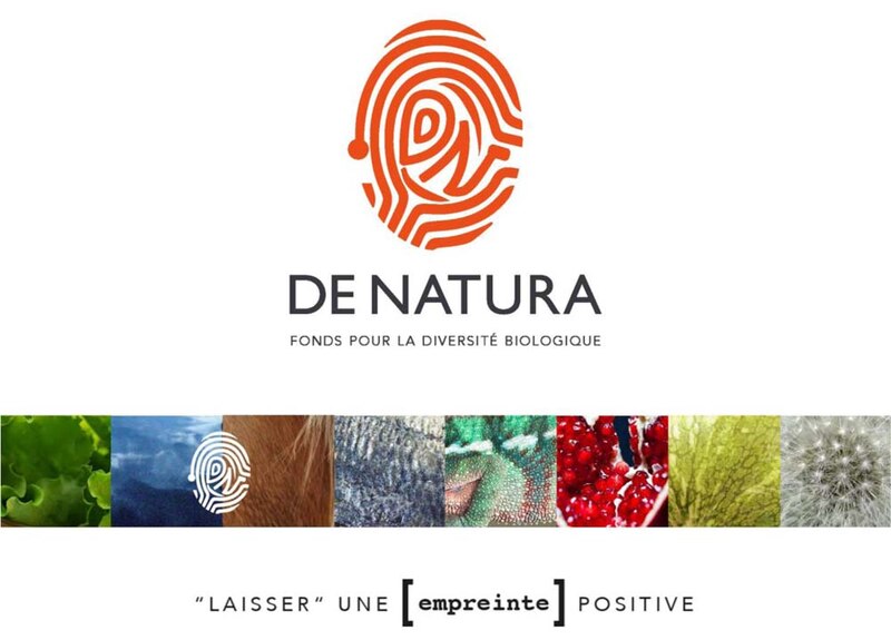 Image d'illustration de l'article