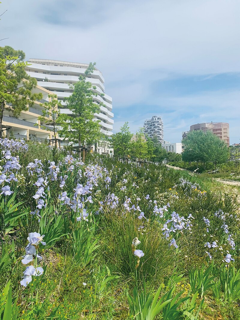 Montpellier inaugure Higher Roch
